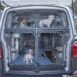 Pet Shipping