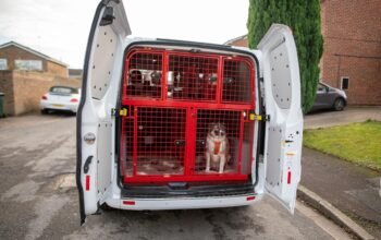 Pet Transportation Pet Transportation