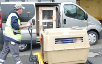 Pet Transportation Pet Transportation